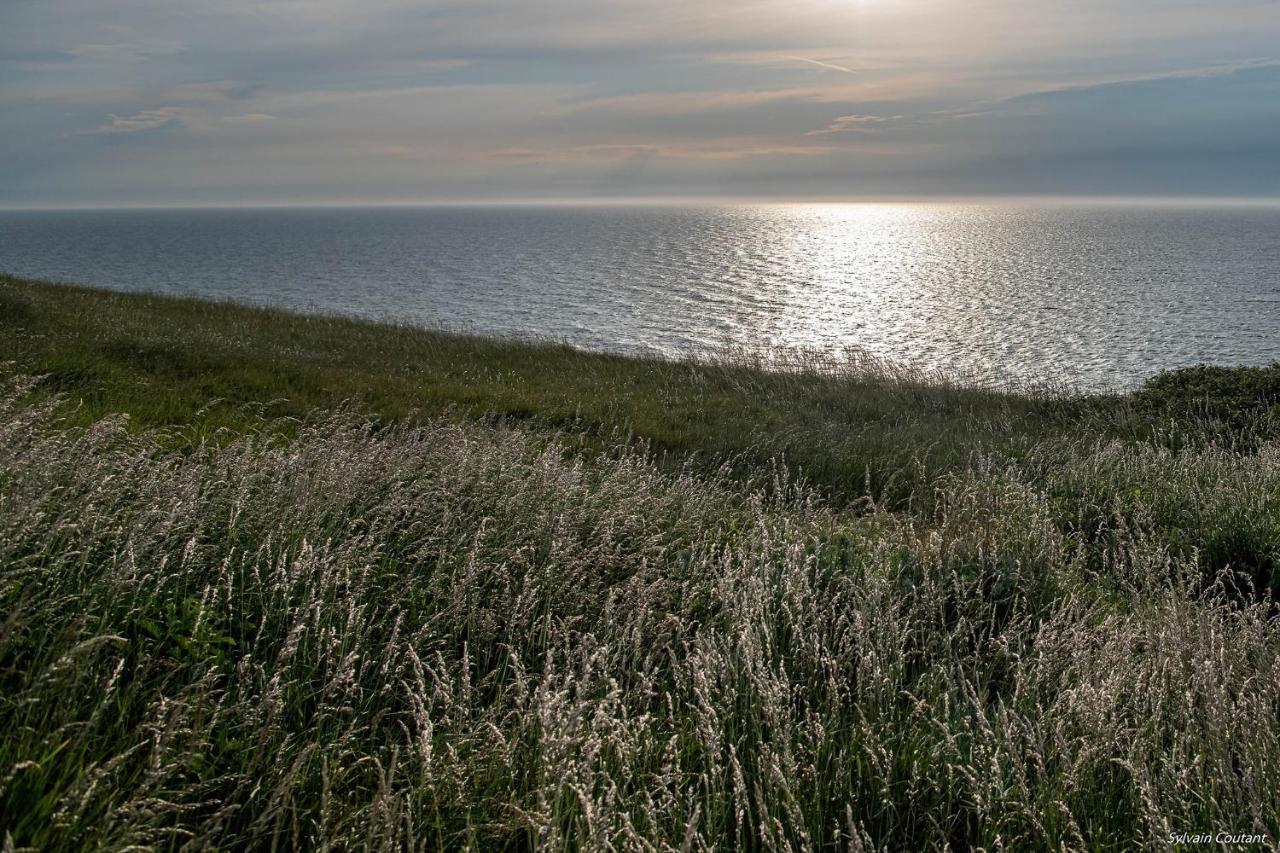 Villa La Precieuse En Front De Mer Woignarue Exteriör bild